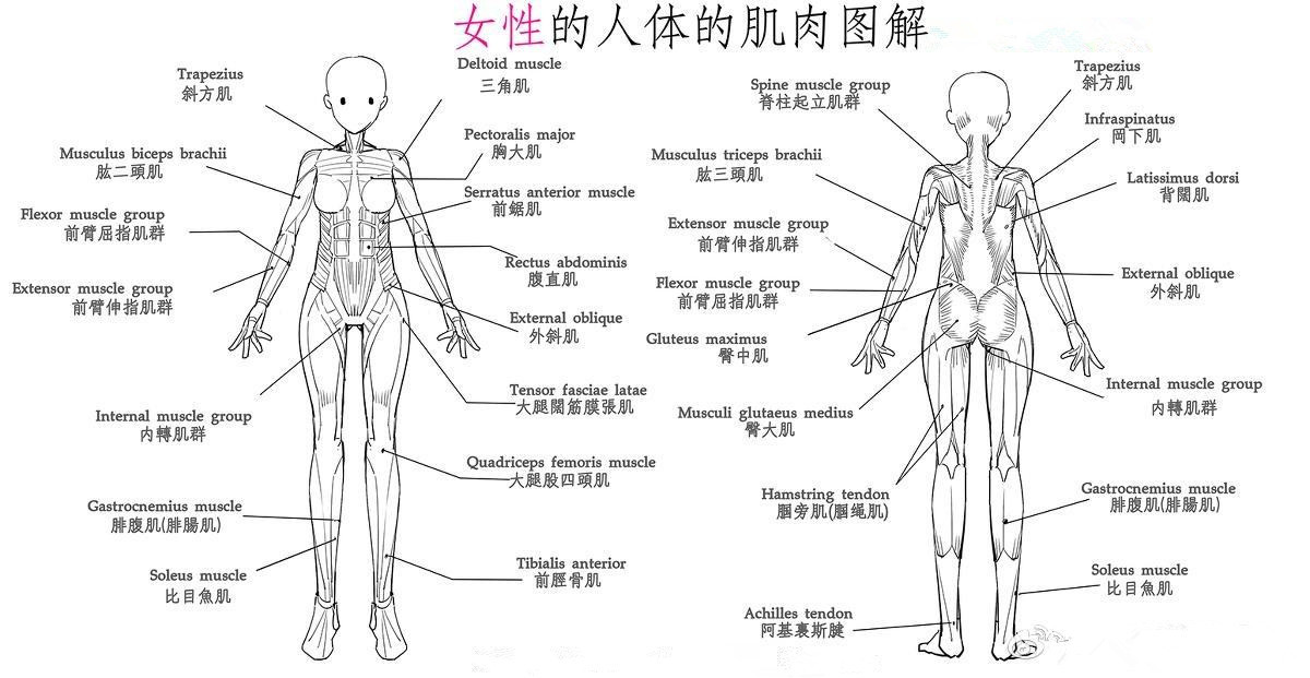 收藏!9个瑜伽体式矫正不良身姿