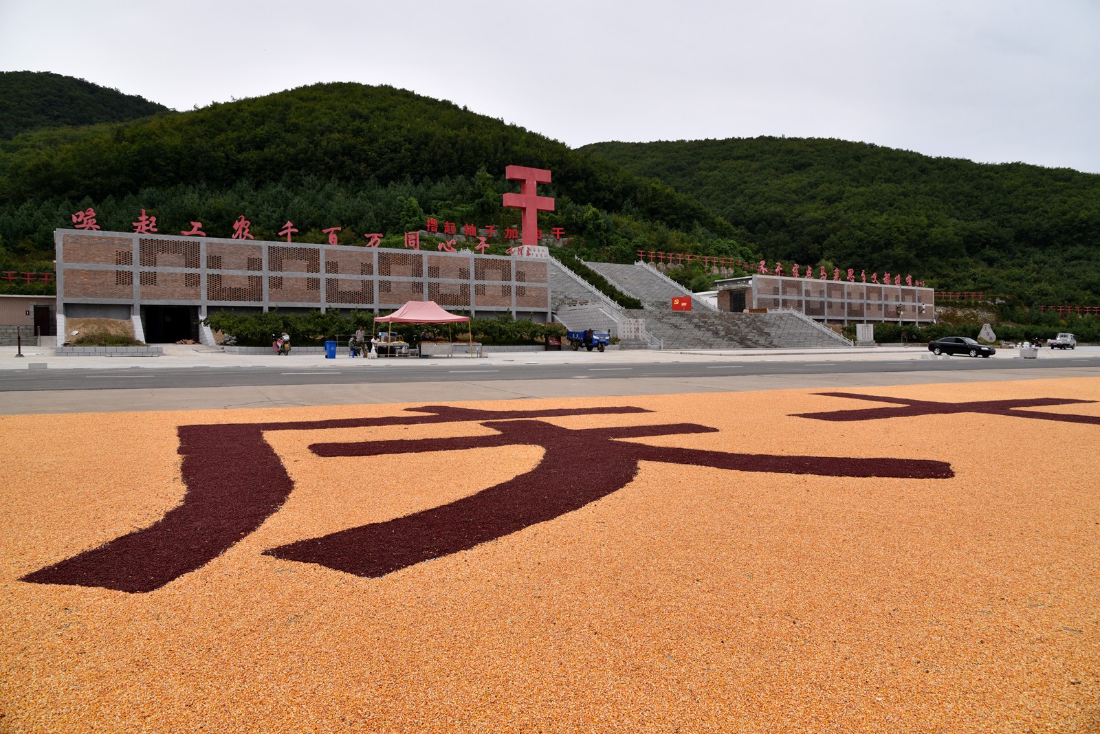 鄉村旅遊好去處丹東鳳城大梨樹