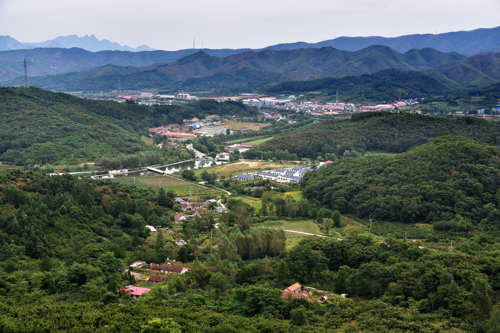 鄉村旅遊好去處丹東鳳城大梨樹