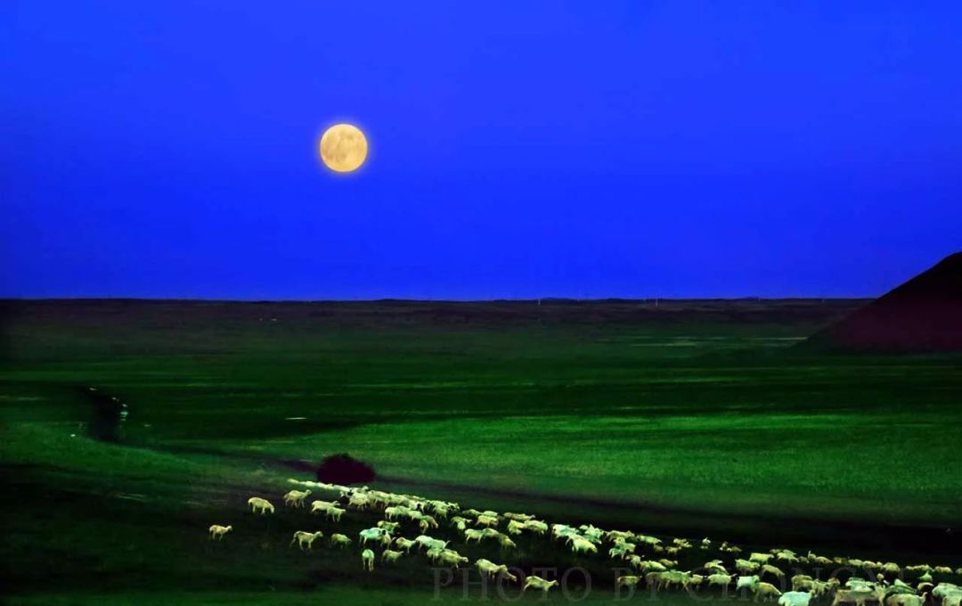 草原的月亮图片大全图片
