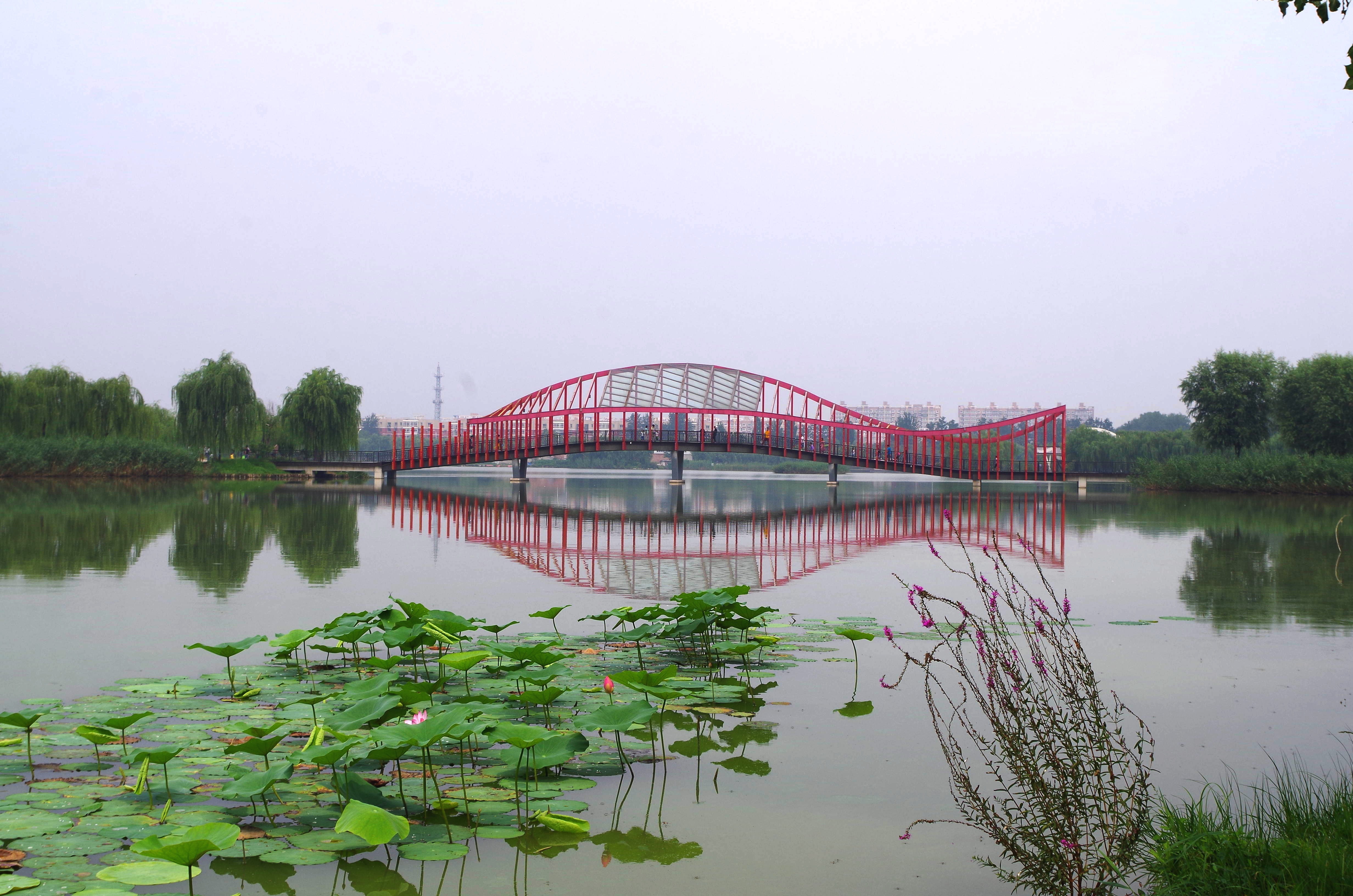 台湖湿地公园具体地址图片