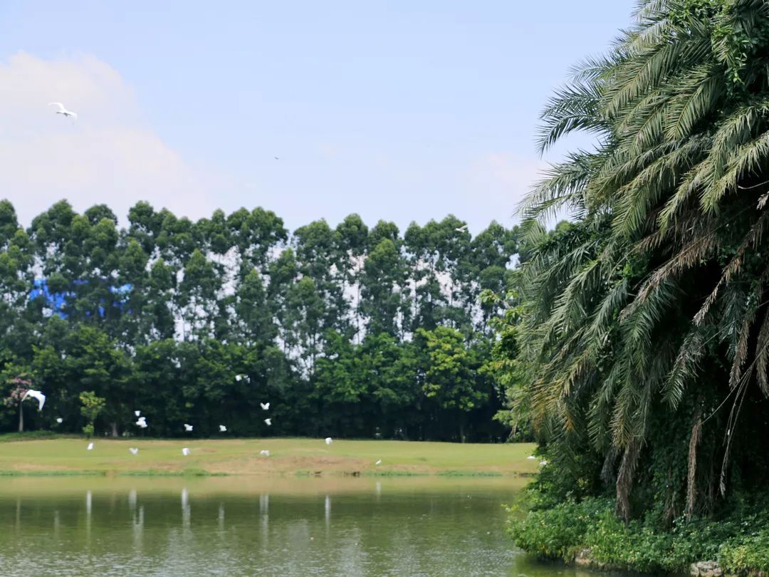 迪茵湖生態旅遊度假區是一家依照國家5a旅遊景區標準重磅打造的中山