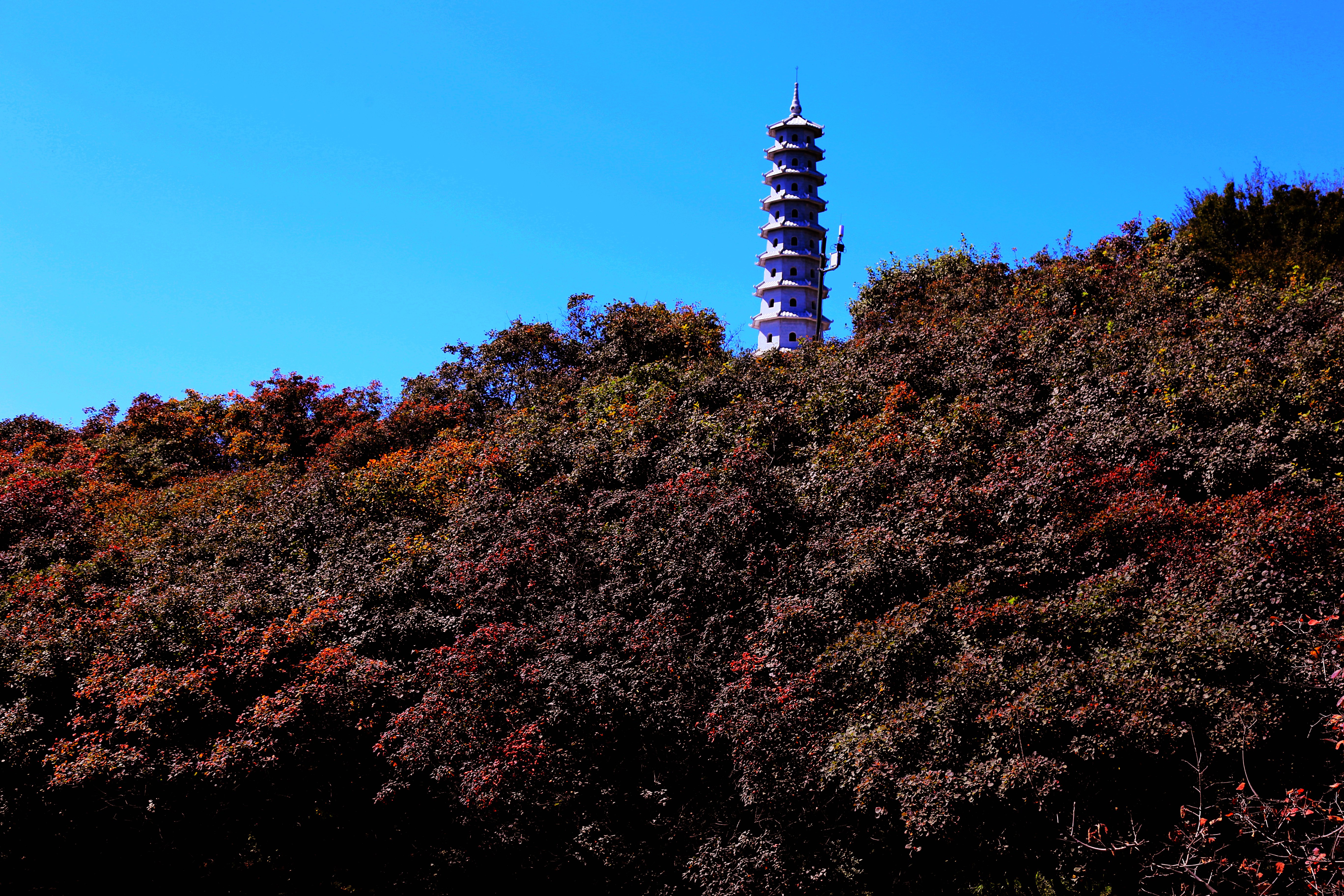 九龙峡第十二届金秋红叶节开幕