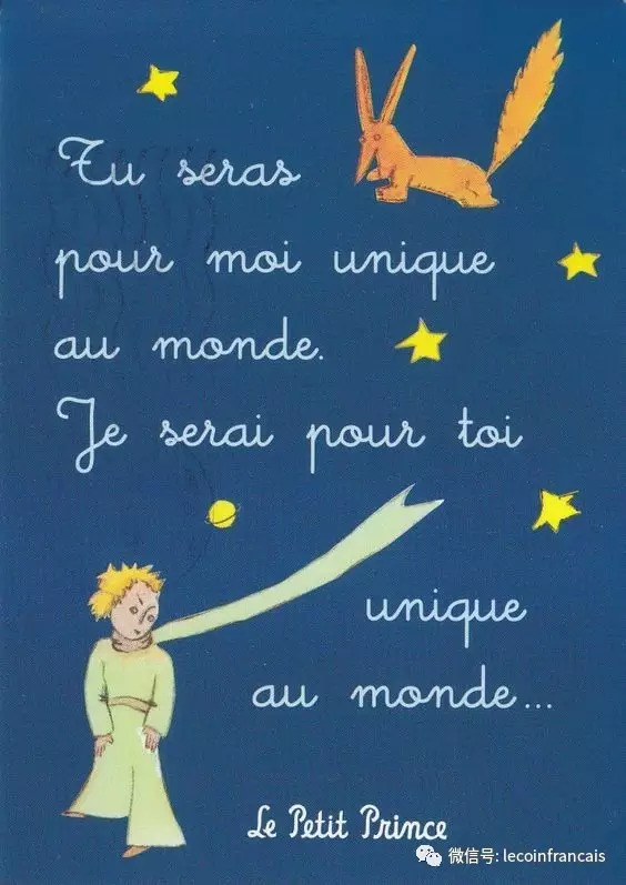 小王子的秘密 le petit prince