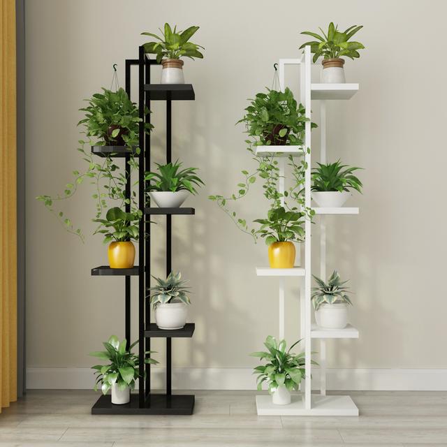 垂吊植物,枝叶垂吊飘逸,净化空气,被称为室内空气的绿色净化器