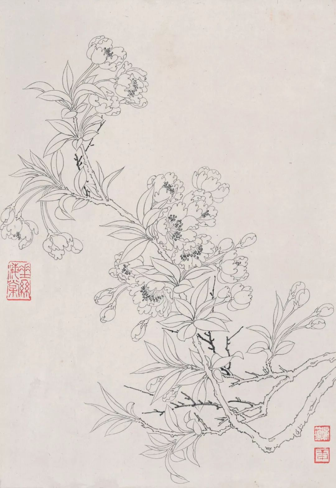 垂絲海棠 38.2cm×26.5cm玉玲瓏 38.4cm×26.5cm竹 38.2cm×27.