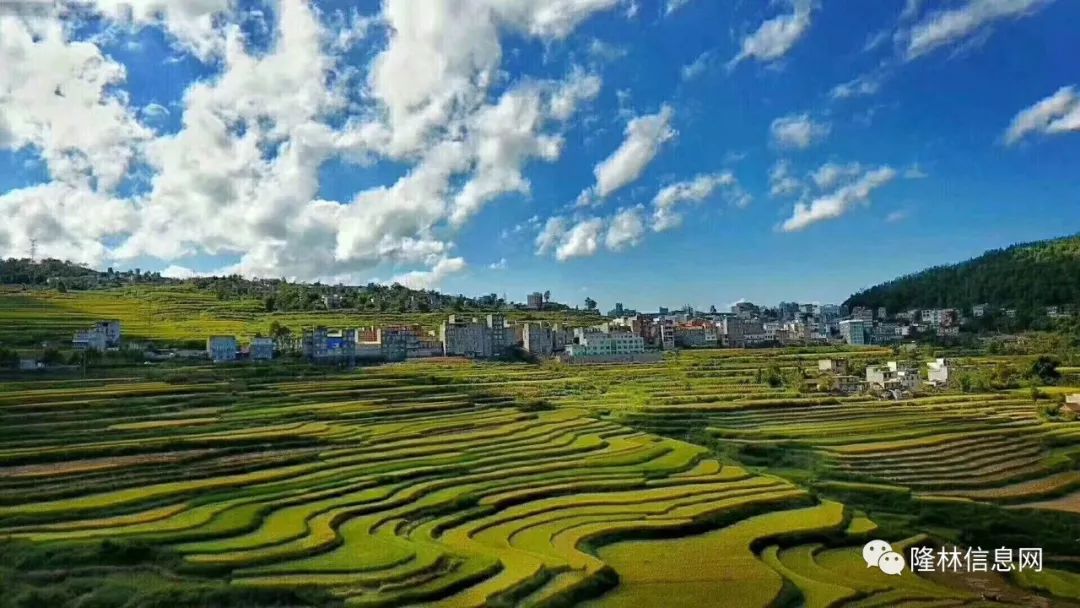 隆林天氣網(廣西百色市隆林縣天氣預報)