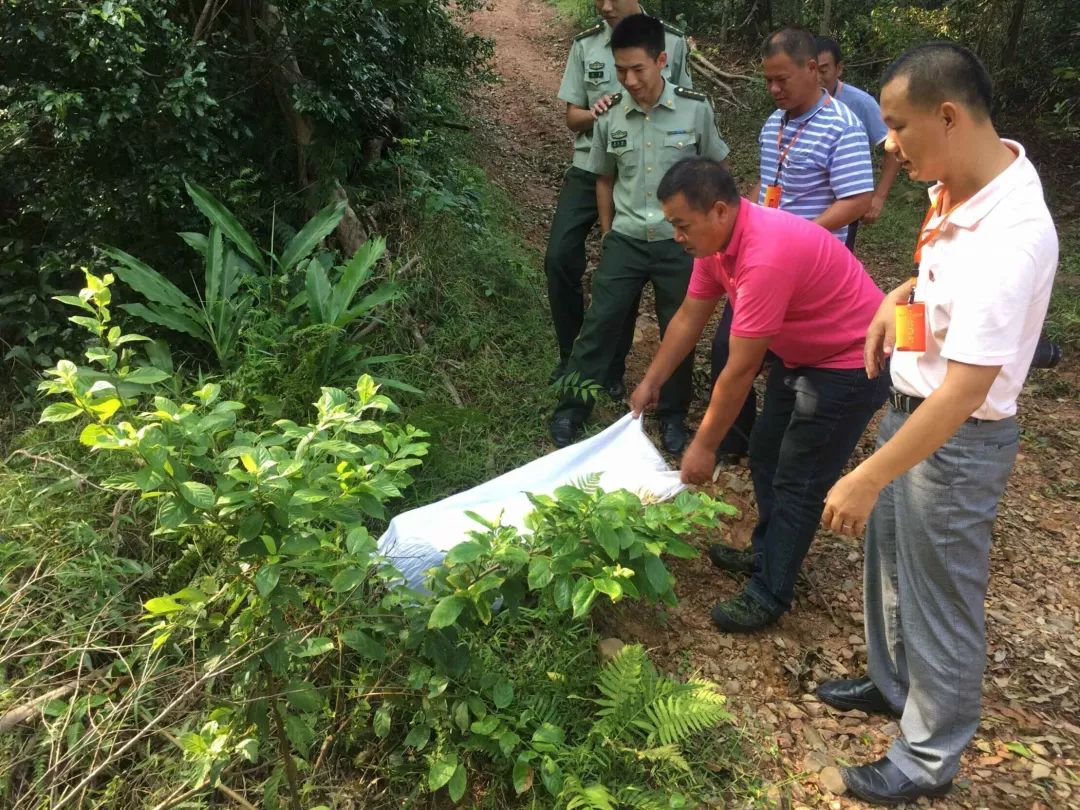 【危险】台山赤溪一条2米多长的大蟒蛇闯入院里!结果.