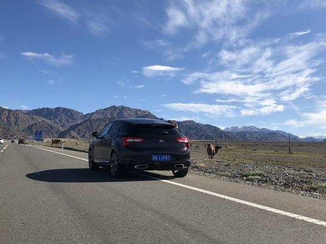 圖片由貴州車友翟武,平涼車友劉義平,無錫車友惠瑞英提供一起來欣賞大