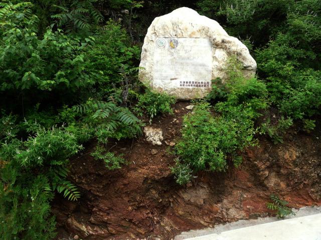 斷層構造府君山的寒武紀石灰岩斷層構造公園地質背景:公園的地層連續