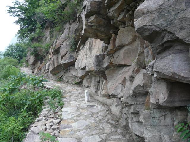 混雜的岩石斷層構造府君山的寒武紀石灰岩斷層構造公園地質背景:公園