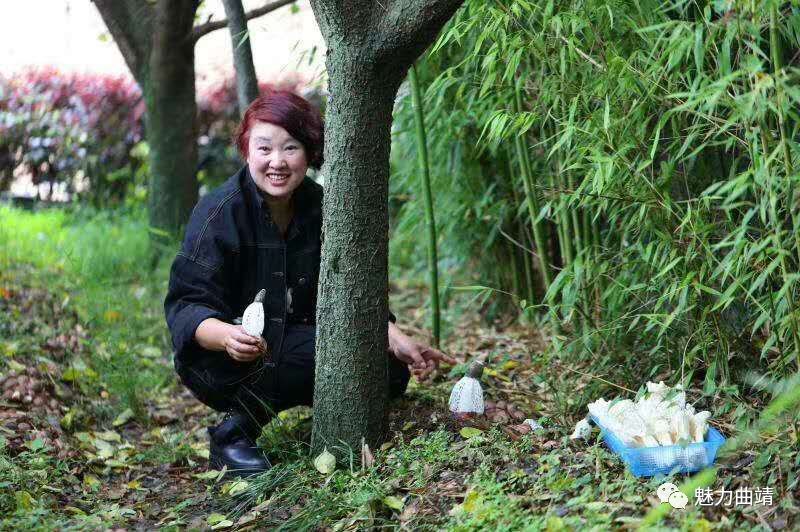 富源兩個煤老闆不為人知的秘密