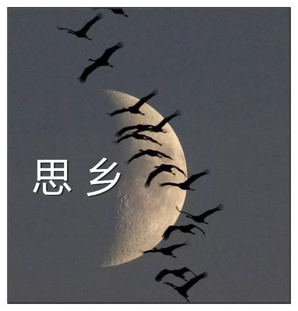 "露从今夜白,月是故乡明"中秋因团圆而诞生了最特别的情感:思乡.