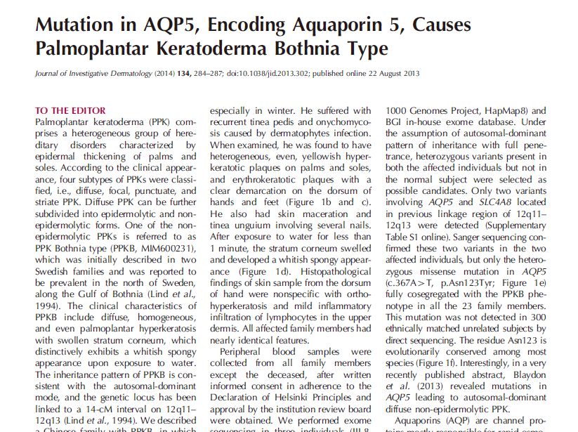 組測序確認mvk基因突變可以導致播散性淺表光化性汗孔角化病文獻簡介
