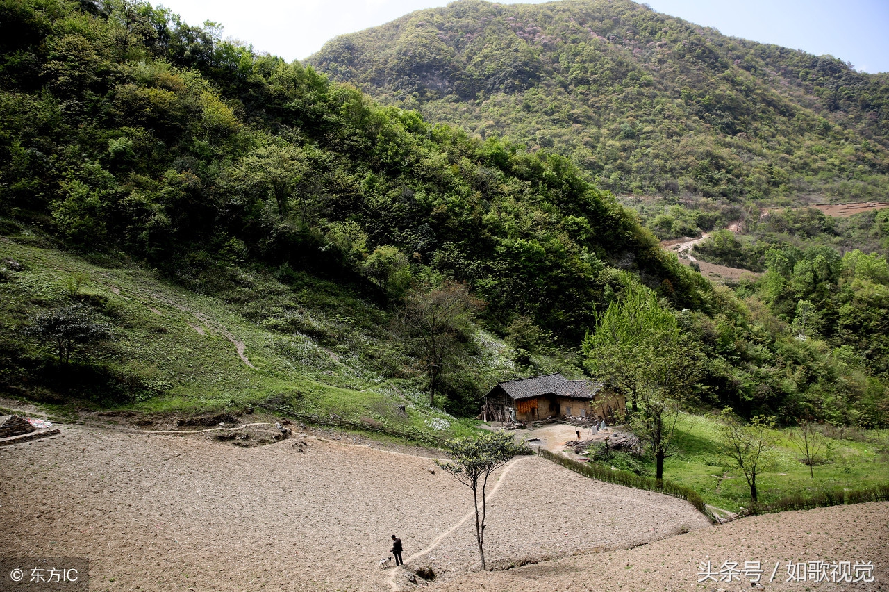 大山沟里