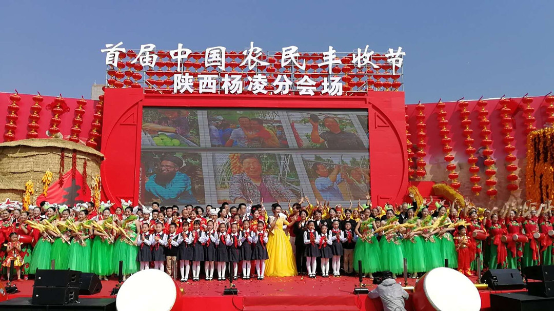首届中国农民丰收节图片