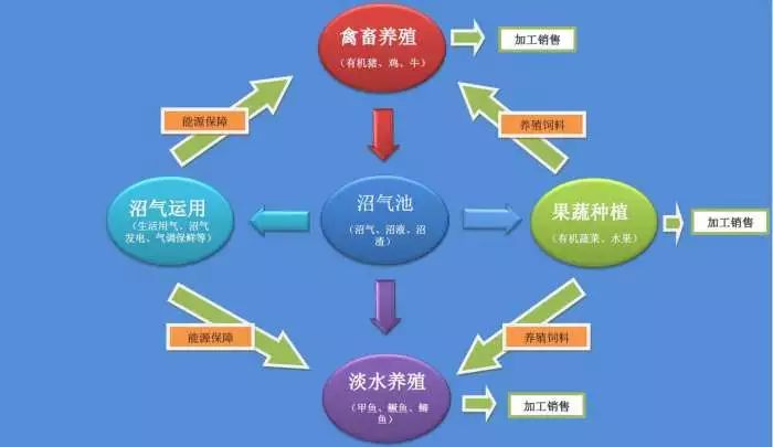 生态养殖循环流程图图片