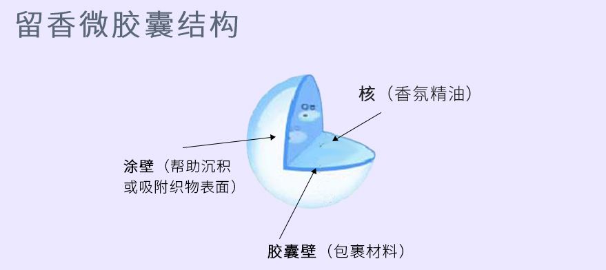 微胶囊包埋技术图片