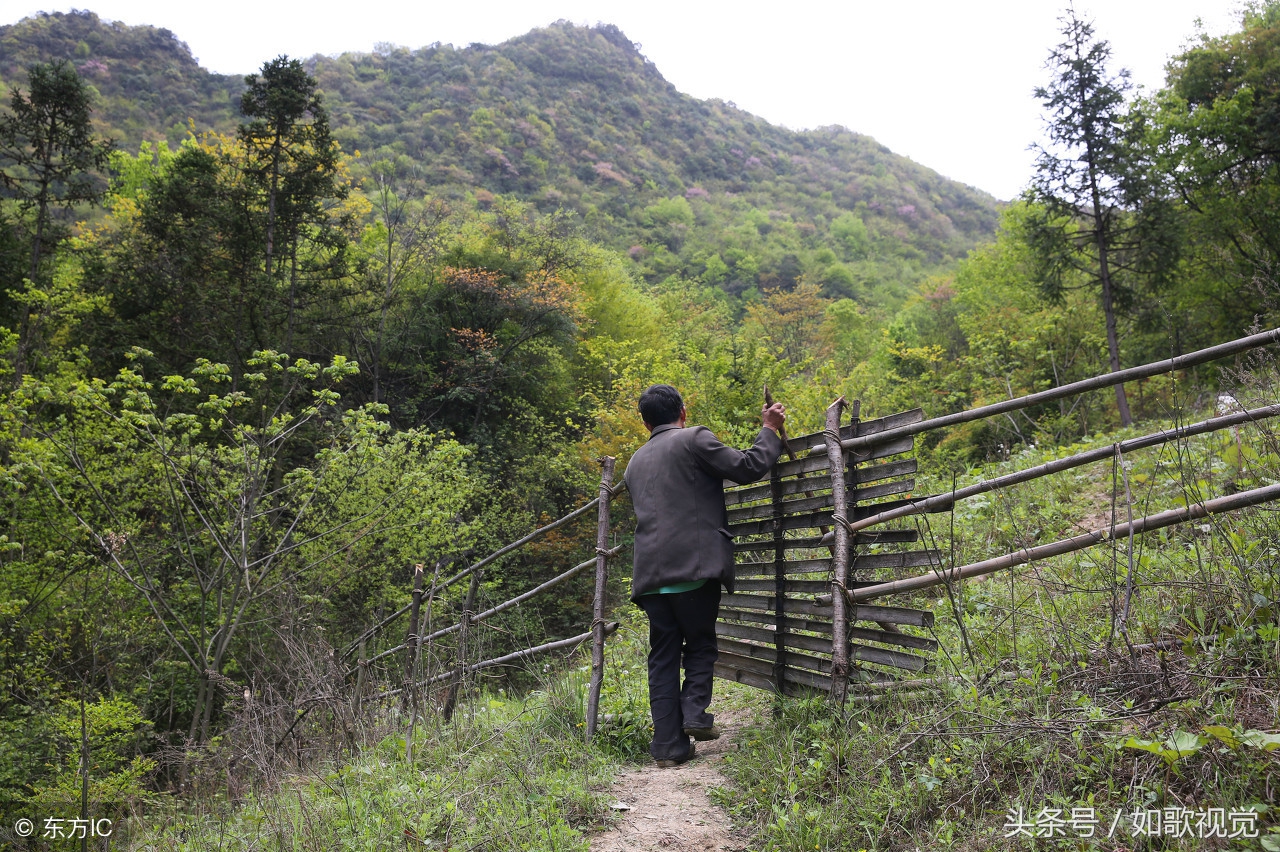 56歲漢子獨居深山,種地養牛餵雞釀包穀酒,苦悶時去親人墳前流淚