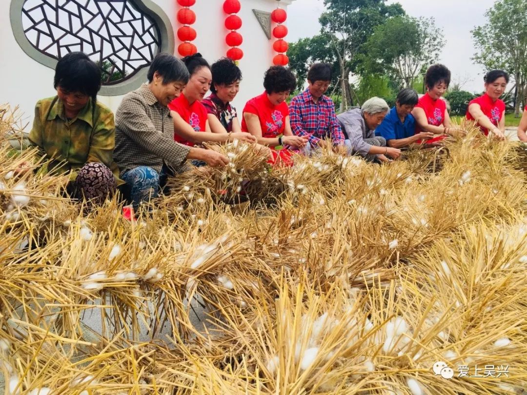 在湖州,有种大场面叫丰收!