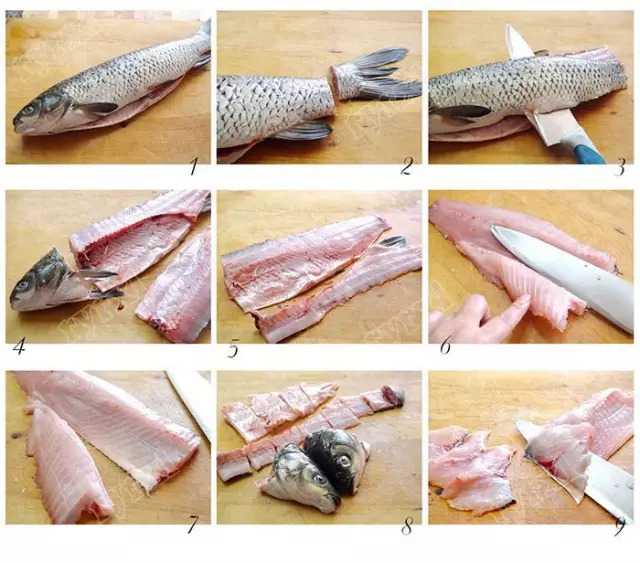 鱼刺的分布示意图图片