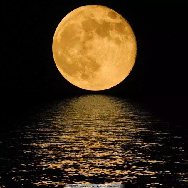 圆圆的月亮真美啊多像图片