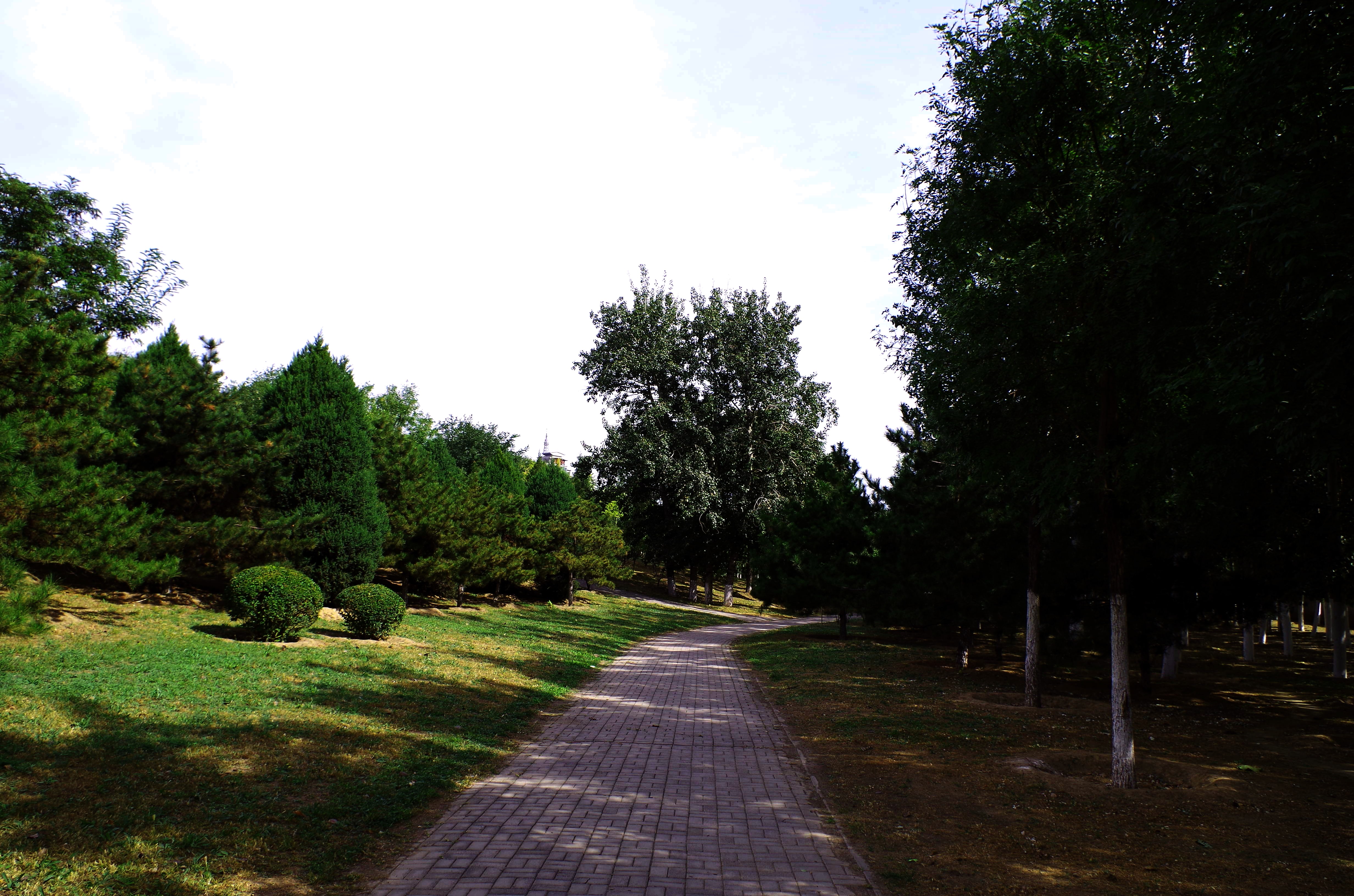 閒走北京之西會公園-郊野公園(朝陽區)