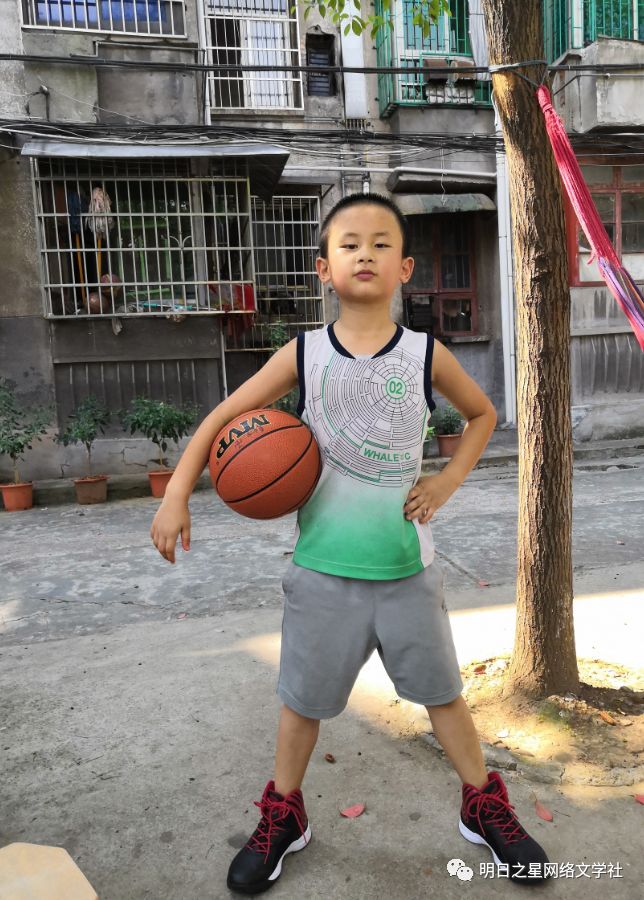 可爱的小鸡湖南益阳市人民路小学四年级1508班曹宇泽