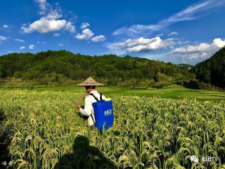 大田味道和上京的美!