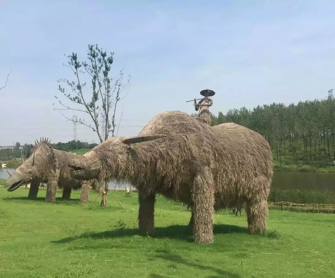 干货丨滁州出发玩转六安兴茂悠然蓝溪南山草原纯玩无购物手册