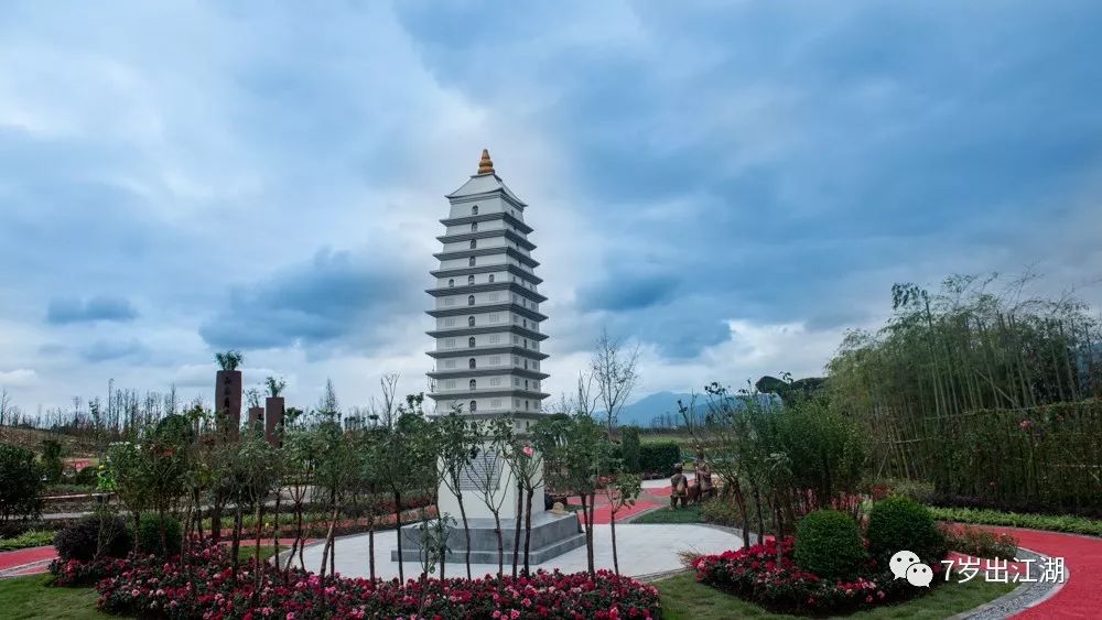 浪漫玫瑰香約德陽實景探班四川綿竹國家玫瑰公園月季產業園