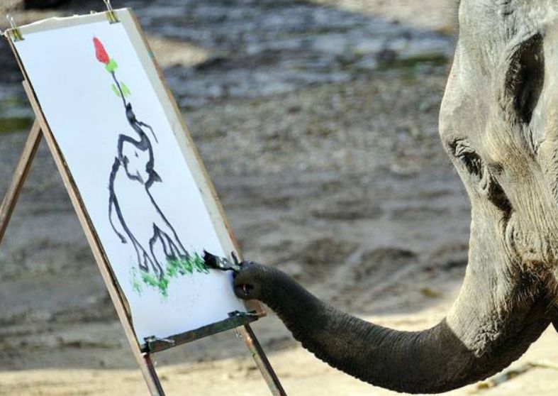 大象画画背后有多残忍图片