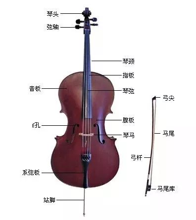 爱乐小讲堂 