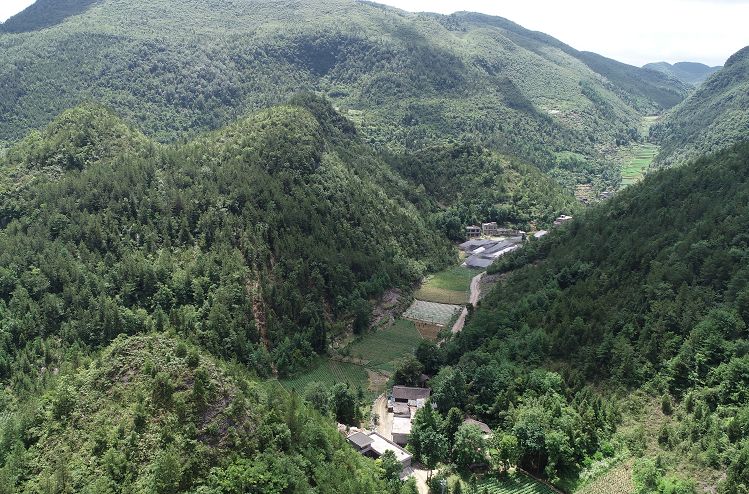 利川柏楊壩境內有座天然山門像極了桂林的象鼻山