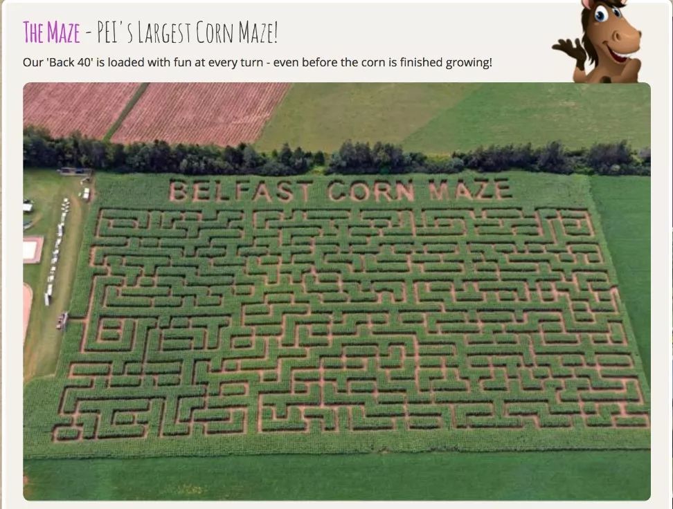 玉米迷宫设计图片