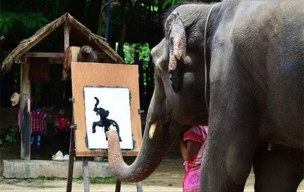 大象画画背后有多残忍图片