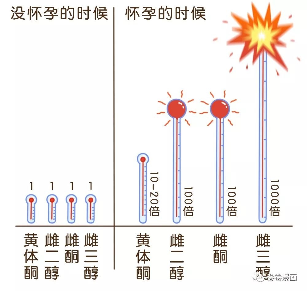 孕期激素变化图片