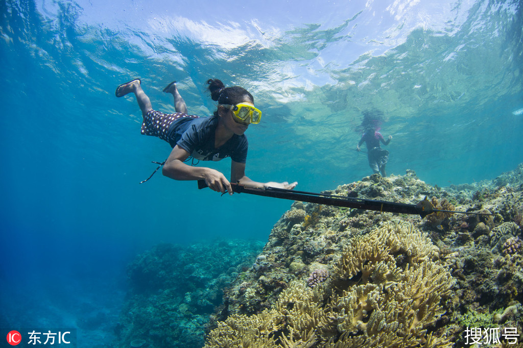 阿陶罗岛的另类"美人鱼 东帝汶妇女打渔日常