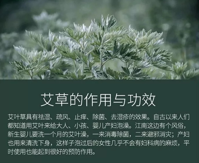 团 一瓶沐浴露足以让你拥有美白光滑的皮肤,做回完美的自己_艾草沐