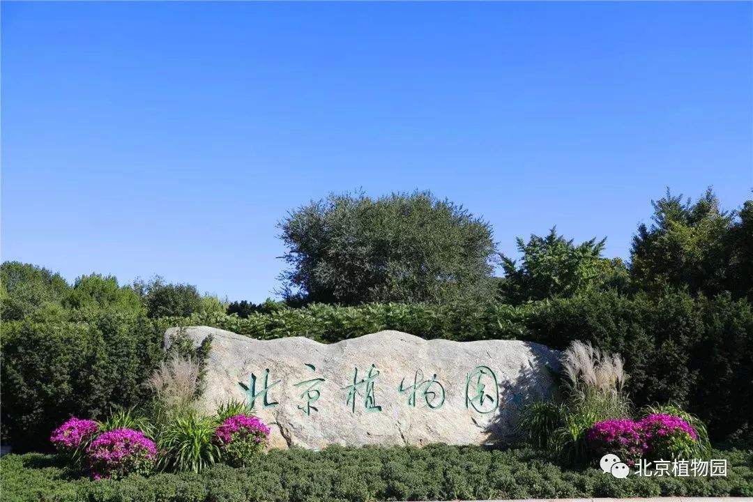 北京植物園金秋遊園攻略