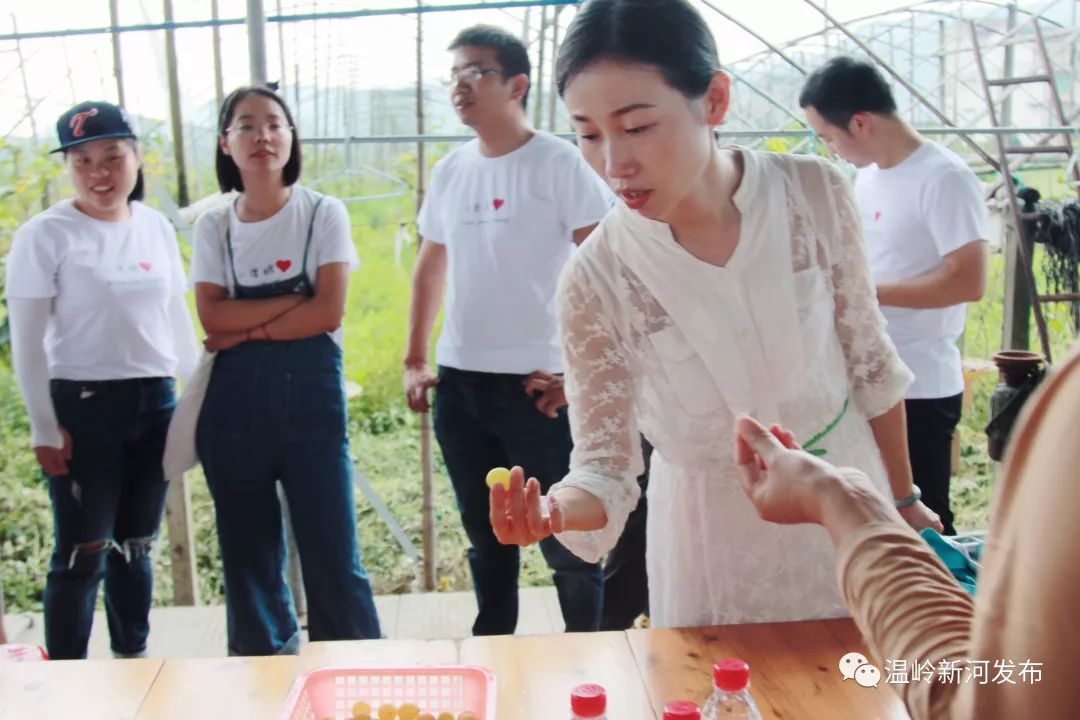 青年说第三弹|带你走进新河农业特色企业一探究竟_郑馨