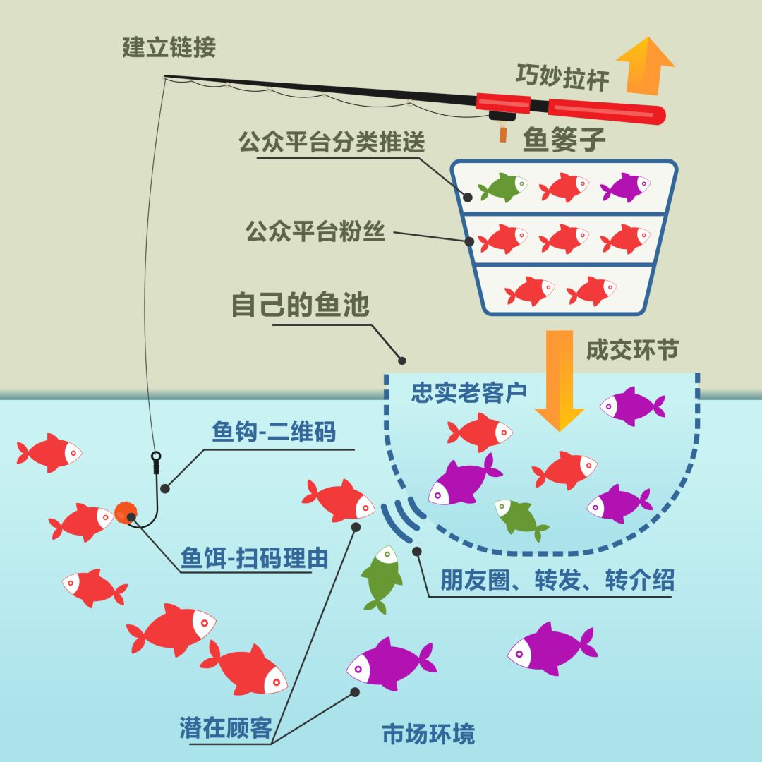 鱼水关系图片