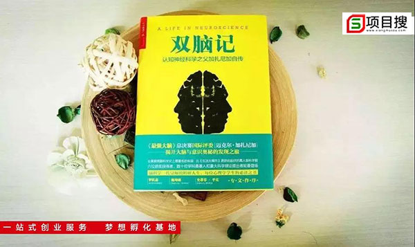 孩子的未來=80%情商(右腦) 20%智商(左腦)