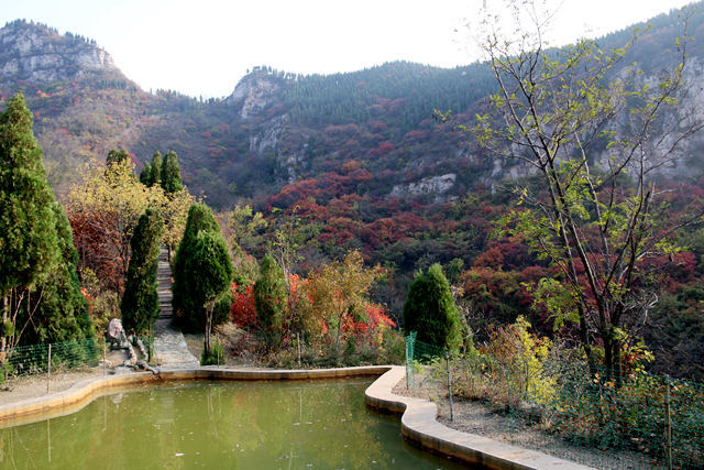 濟南近郊遊景點,秋季旅遊正當時,章丘三王峪山水風景園