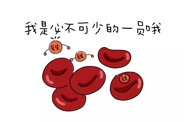 红血球简笔画图片