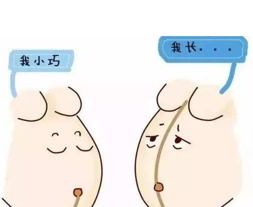 怀孕肚子中线看男女图图片