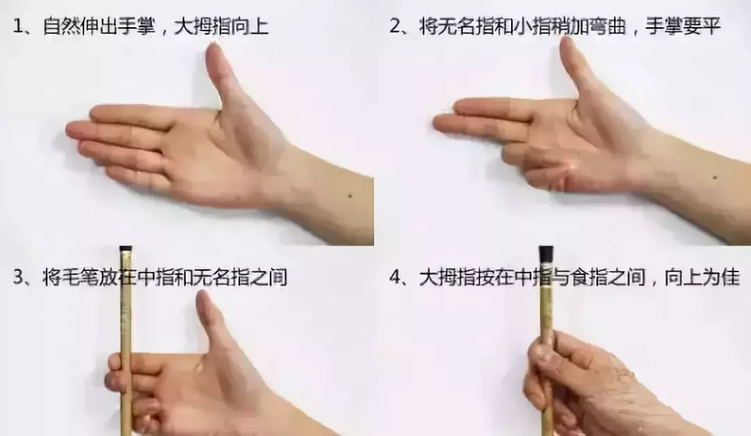 毛笔的握法三种方法图片