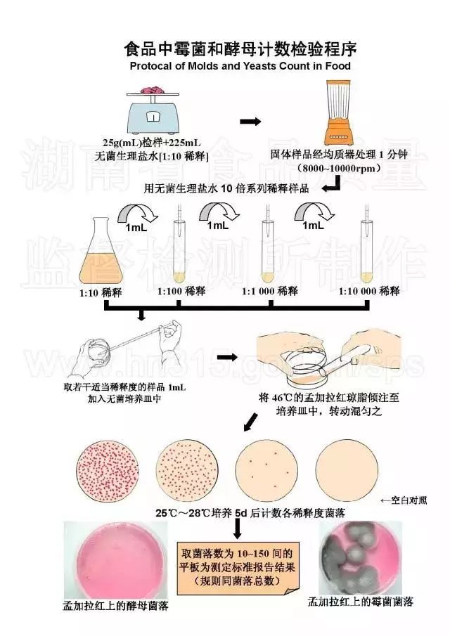 收藏微生物检测流程图