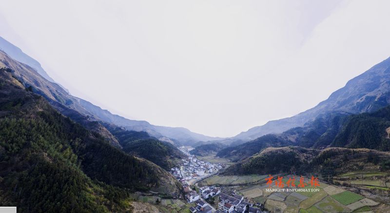 美麗蝶變在大山深處瑞昌市洪一鄉長坑村推進全域美麗新農村建設見聞