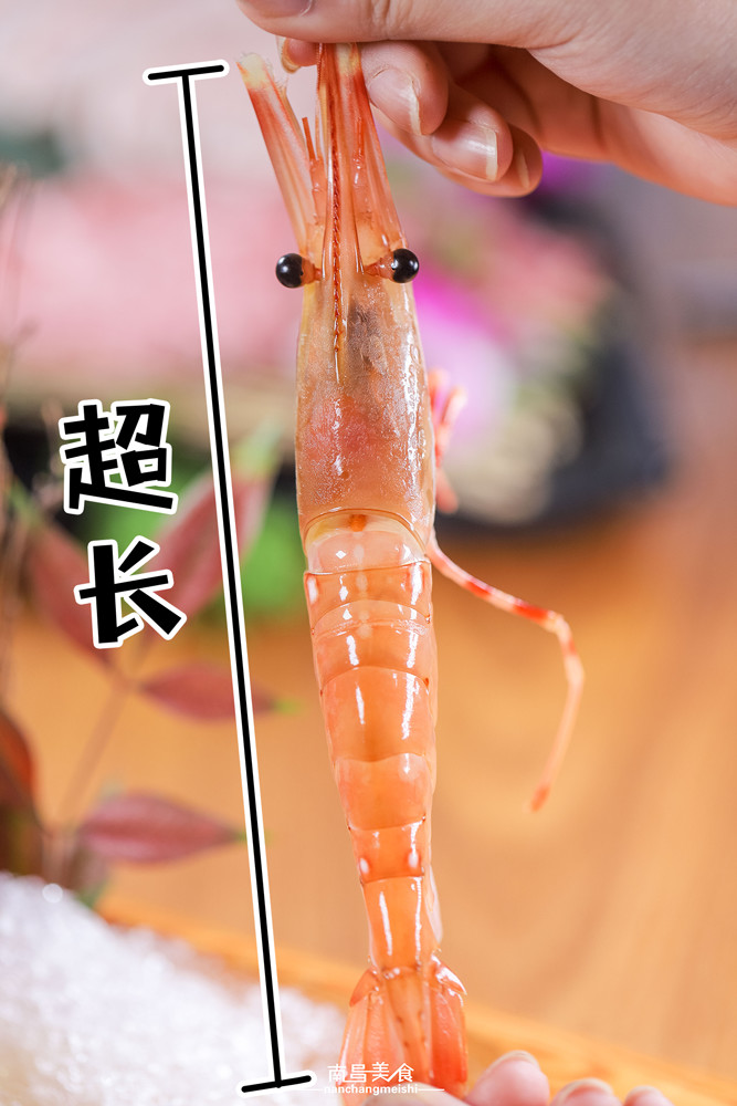 雙手拉開牡丹蝦的身軀,長達20cm,很大一隻了~有